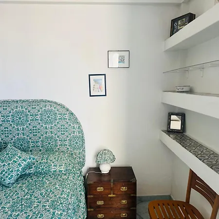 Salsedine - Immobilevante Ponza