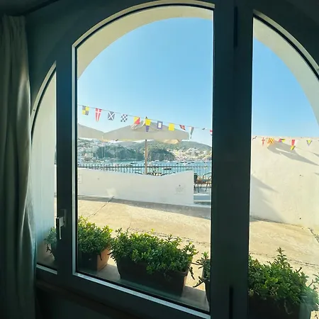 Salsedine - Immobilevante Ponza