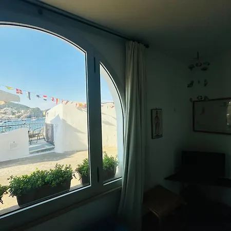 Salsedine - Immobilevante Ponza