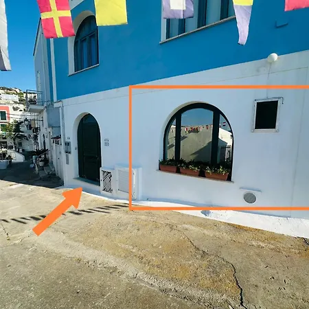 Salsedine - Immobilevante Ponza
